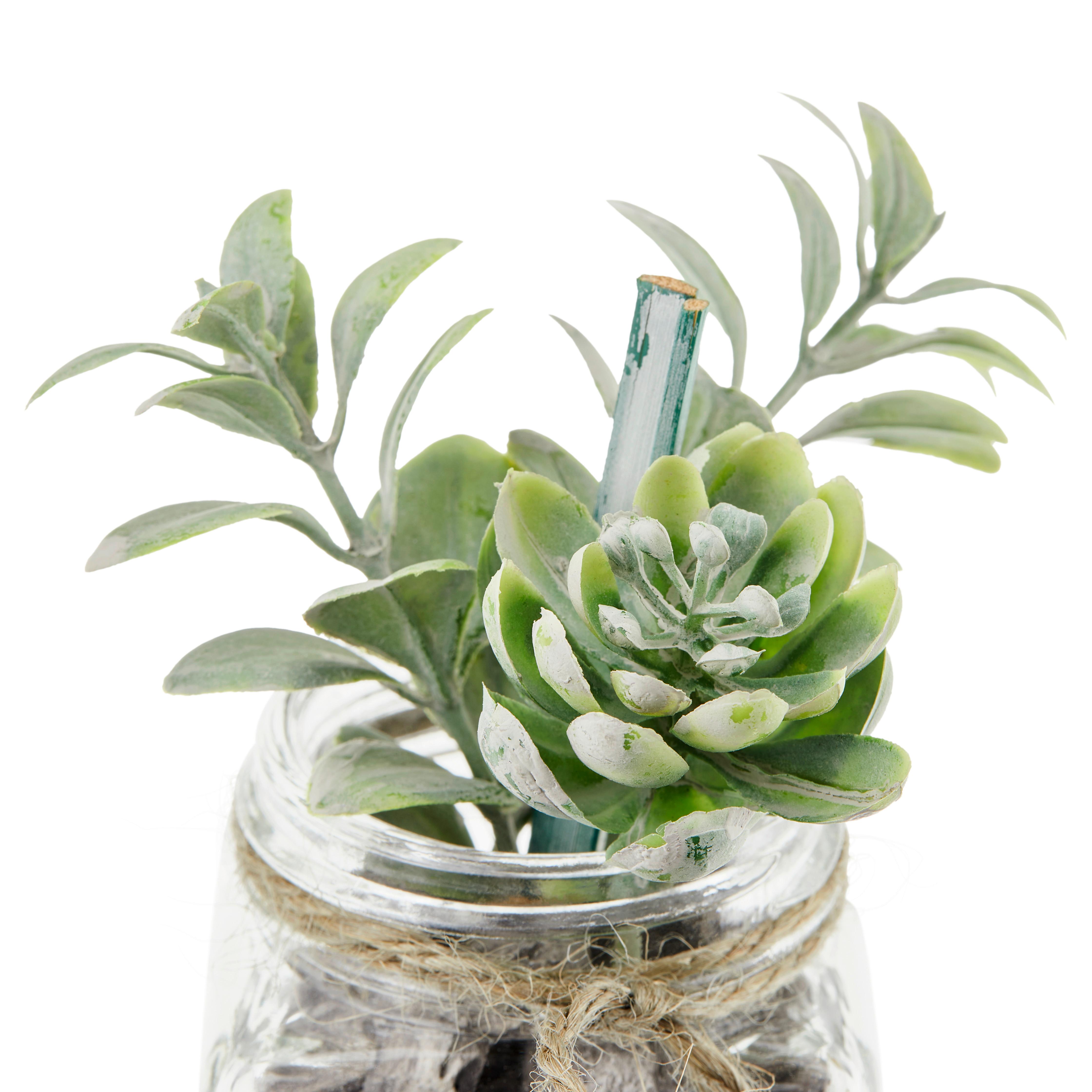 Kunstpflanze Sukkulente Grün L: 9,5 cm, Haviva - Klar/Grau, MODERN, Glas/Kunststoff (5,1/9,5cm) - Luca Bessoni