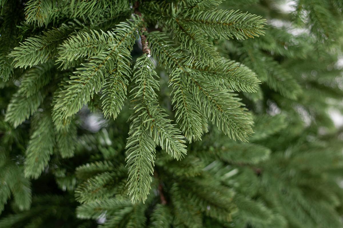 Weihnachtsbaum Roswell - Grün, Basics, Kunststoff/Metall (122/210/122cm)