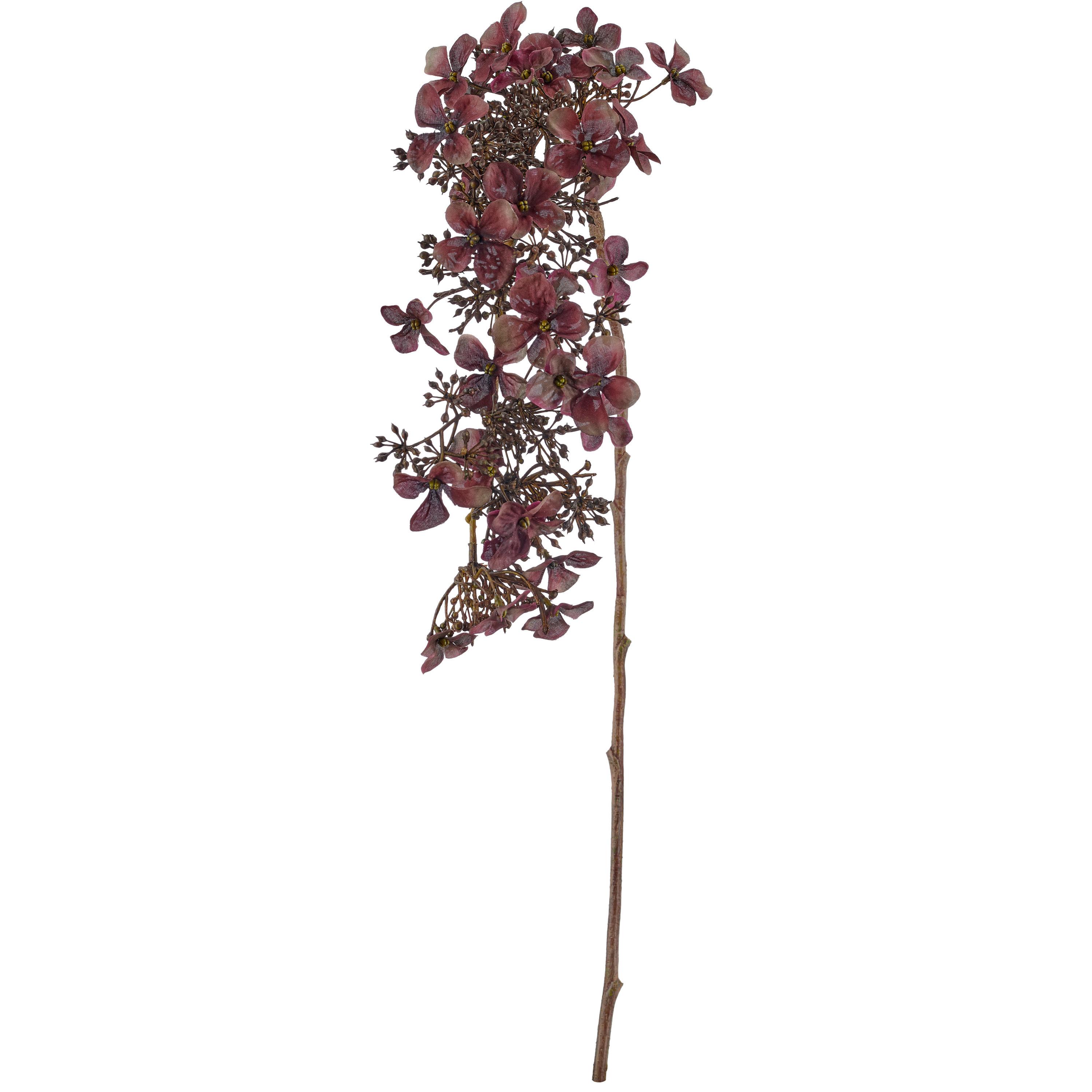Umělá rostlina RISPENHORTENSIE I -PAZ- - hnědá/fialová, Basics, plast (89cm) - Mömax
