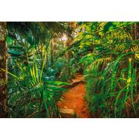 Fototapete Jungle Trail - Natur, Papier (368/254cm)