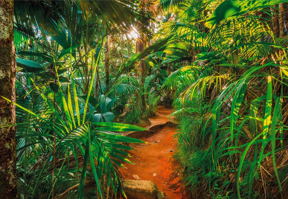 Fototapete Jungle Trail - Natur, Papier (368/254cm)