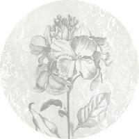 Fototapete Barock Beauty - Schwarz/Weiß, Trend, Papier (125cm) - Komar