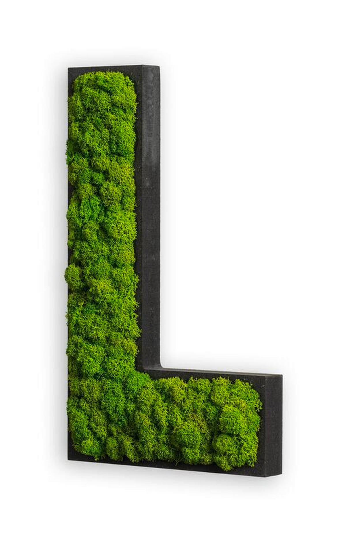 Moosbild Grün B: 25 cm - Schwarz/Grün, Basics, Naturmaterialien/Holz (25/15/4cm)