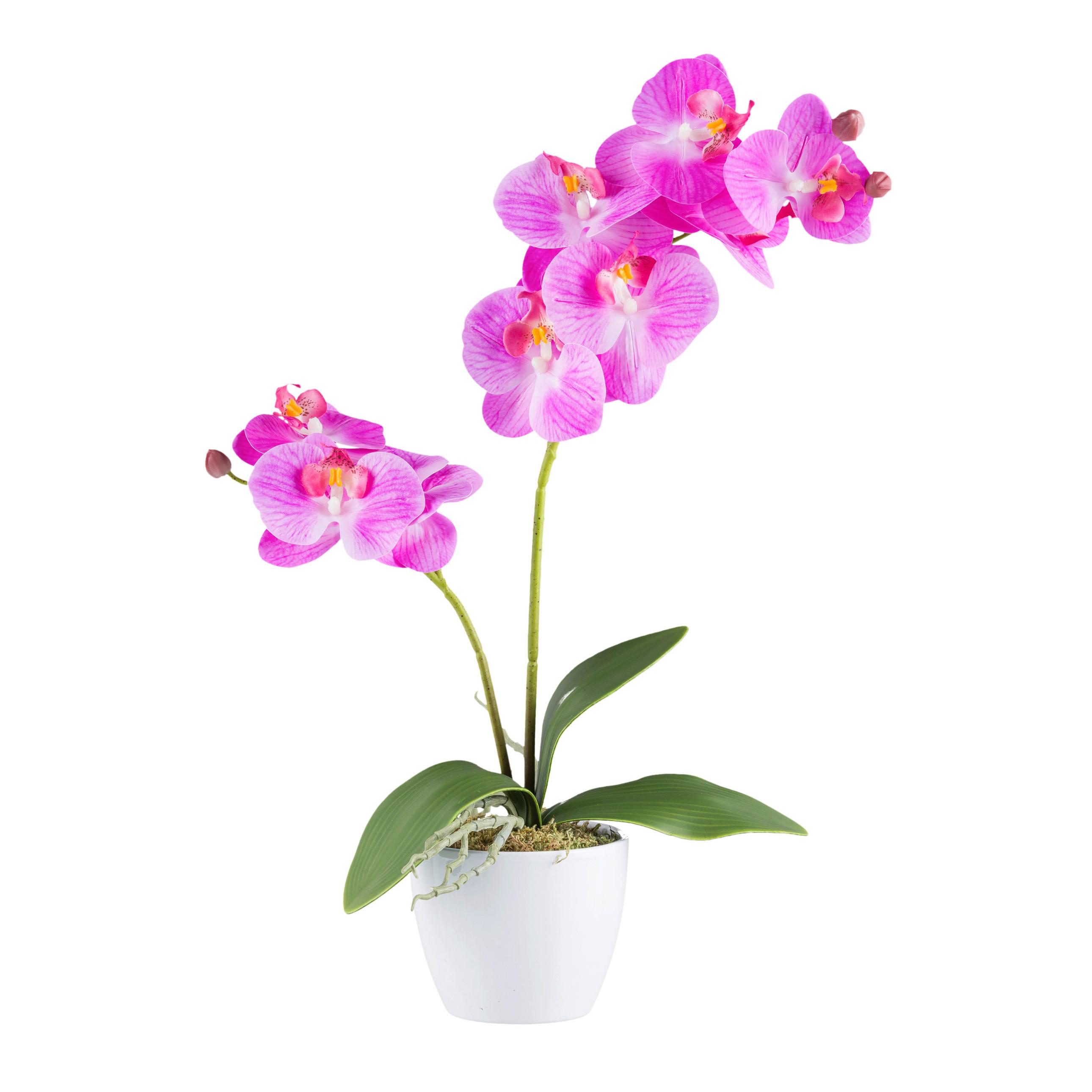 Kunstpflanze Orchideen Grün/Rosa/Weiß, 57 cm - Rosa/Weiß, Design, Keramik/Kunststoff (57cm) - P & B
