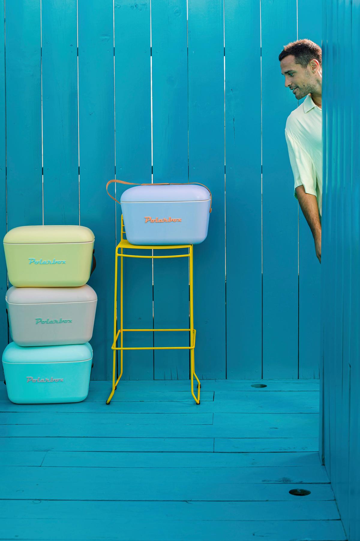 Kühltasche Polarbox Lila - šeříková, Moderní, plast (45,1/20,7/30,6cm) - Polarbox