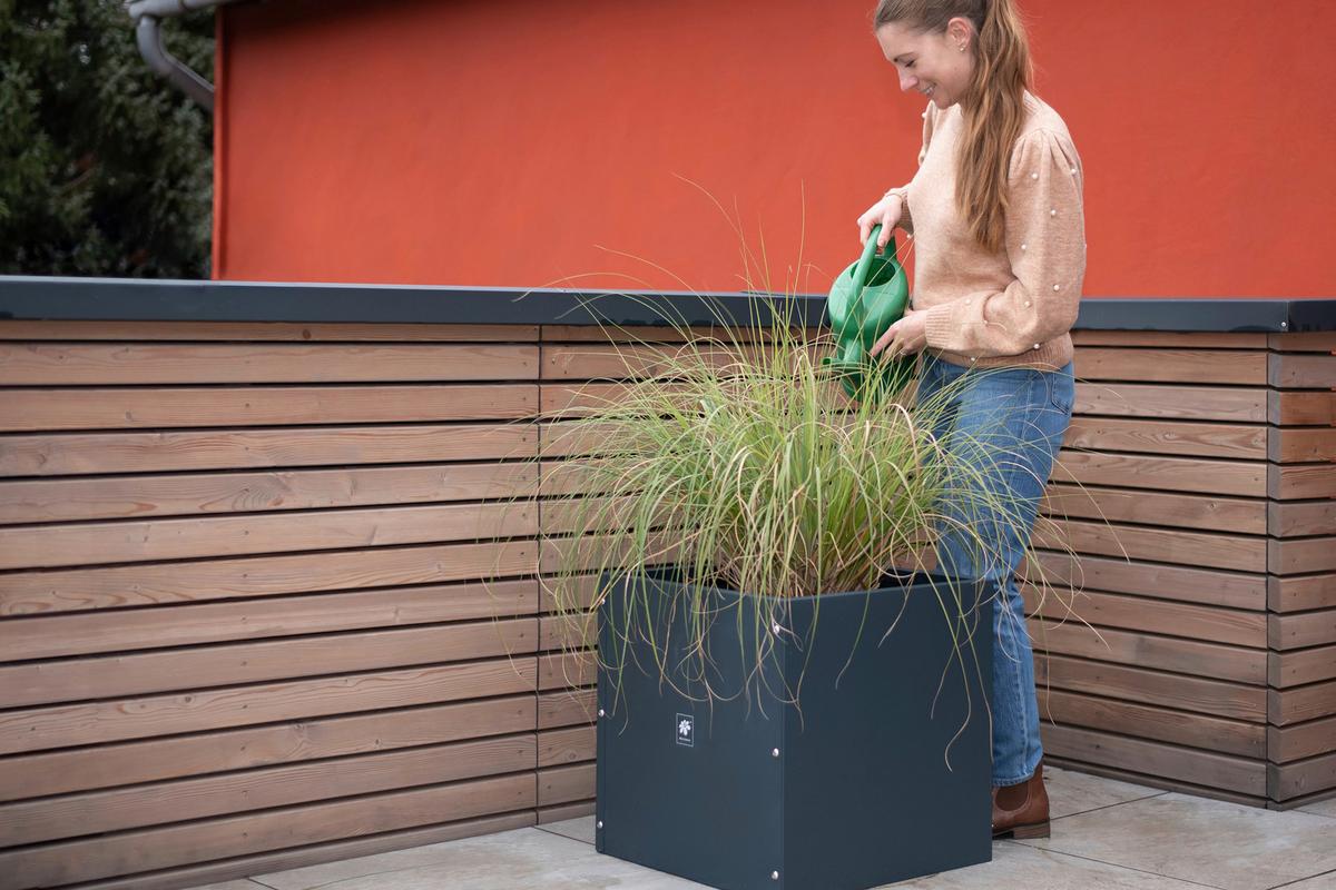 Pflanzentopf Pflanzkasten 50x50x50 - Anthrazit, Basics, Metall (50/50/50cm)