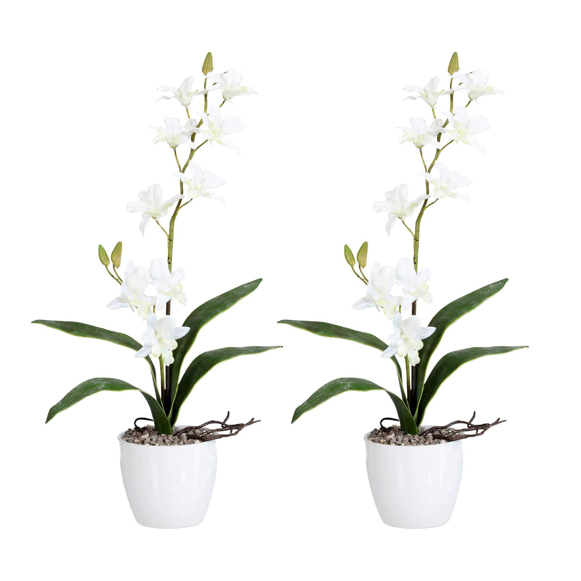 Kunstpflanze Orchideen Weiß, Topf: Weiß, H: 60 cm - Weiß/Grün, Design, Keramik/Kunststoff (60cm) - P & B