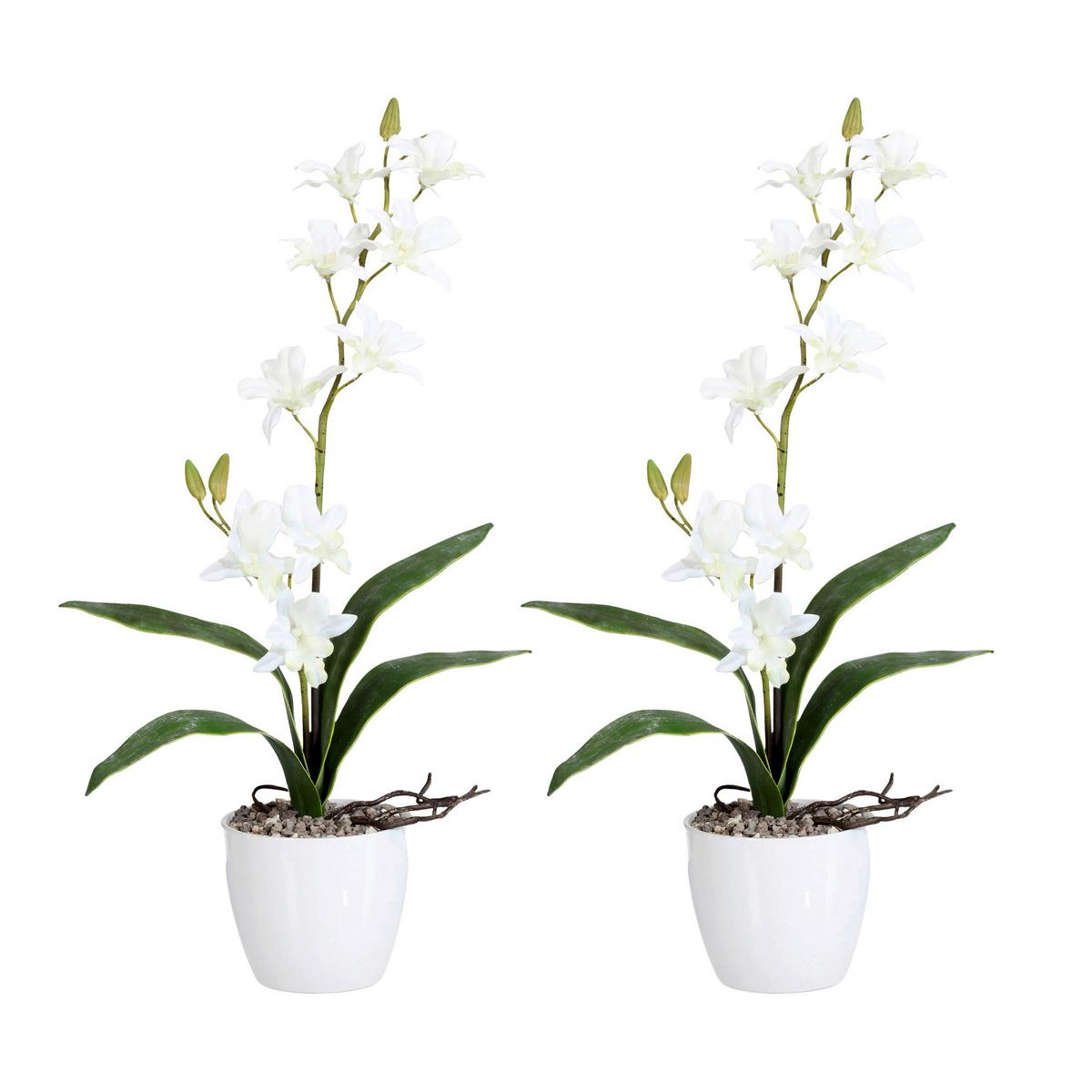 Kunstpflanze Orchideen Weiß, Topf: Weiß, H: 60 cm - Weiß/Grün, Design, Keramik/Kunststoff (60cm) - P & B