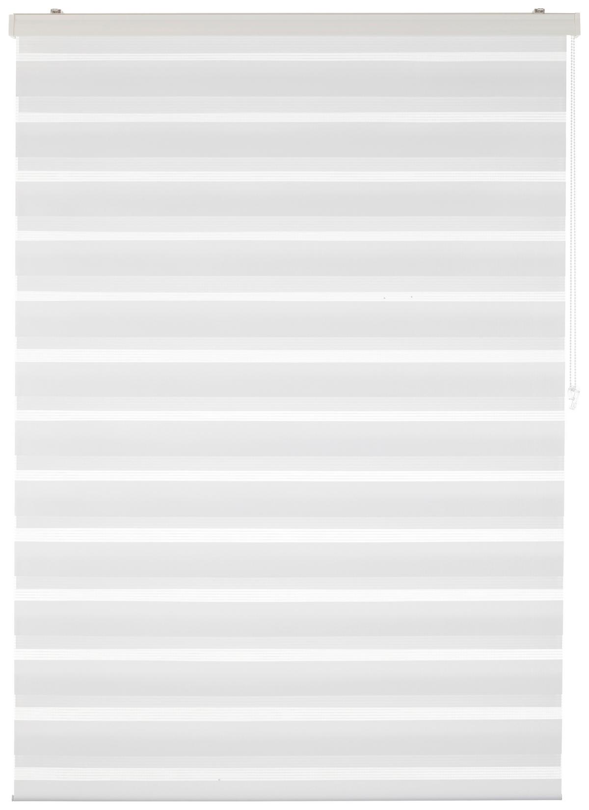 DUÁLNÍ ROLETA Thomas, 120x160cm, bílá - bílá, textil/plast (120/160cm) - Premium Living