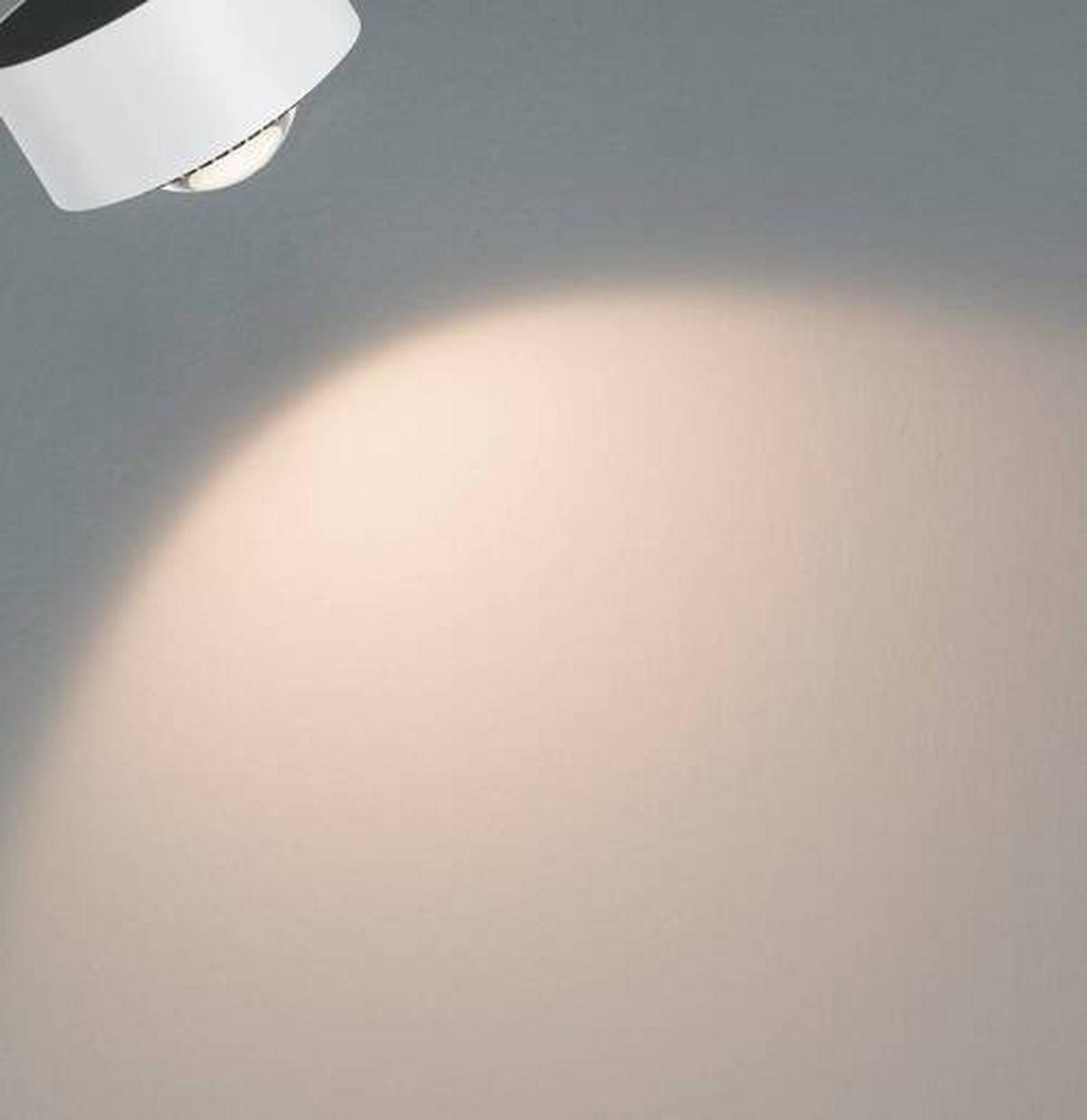 Schienensystem Strahler 95395 in Schwarz/Weiß, Rund - Schwarz/Weiß, Basics, Metall (9,8cm) - Paulmann