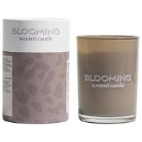 VONNÁ SVIEČKA LIBELLA - sivobéžová, prírodné materiály/sklo (8/10,6cm) - Modern Living