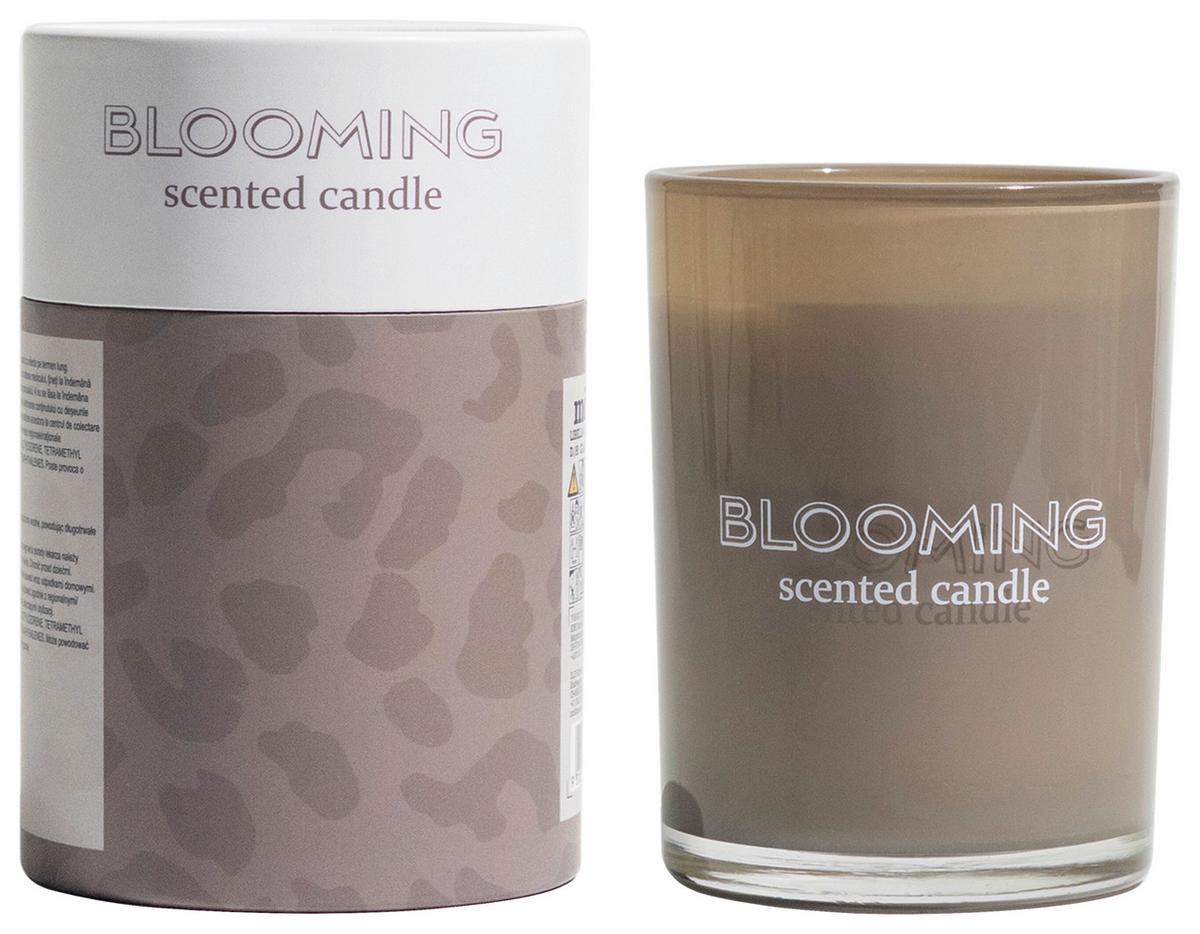 VONNÁ SVIEČKA LIBELLA - sivobéžová, prírodné materiály/sklo (8/10,6cm) - Modern Living