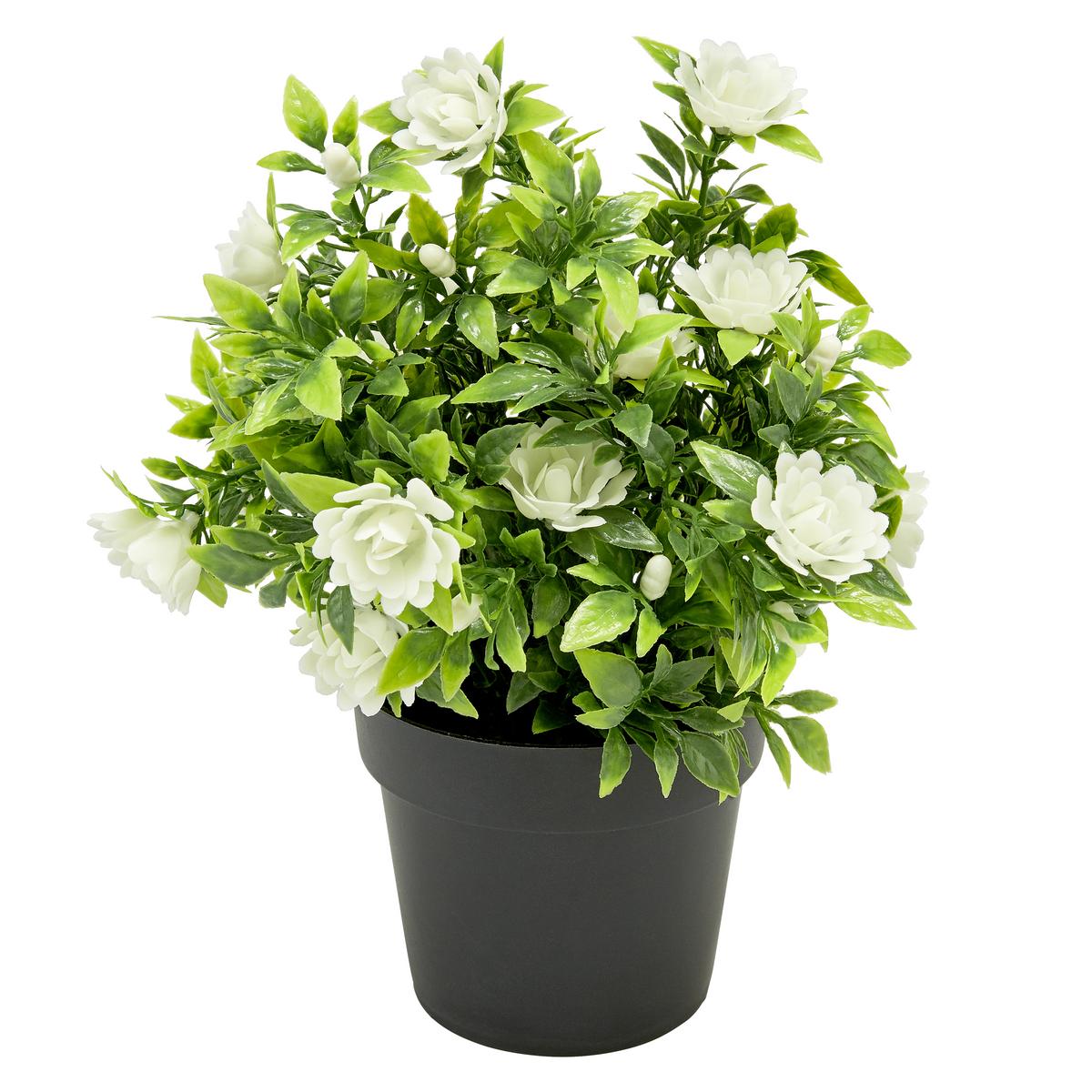 Kunstpflanze Weiß/Grün H: 23 cm Im Topf, Cassandra - Schwarz/Weiß, Basics, Kunststoff (15/23cm) - Luca Bessoni