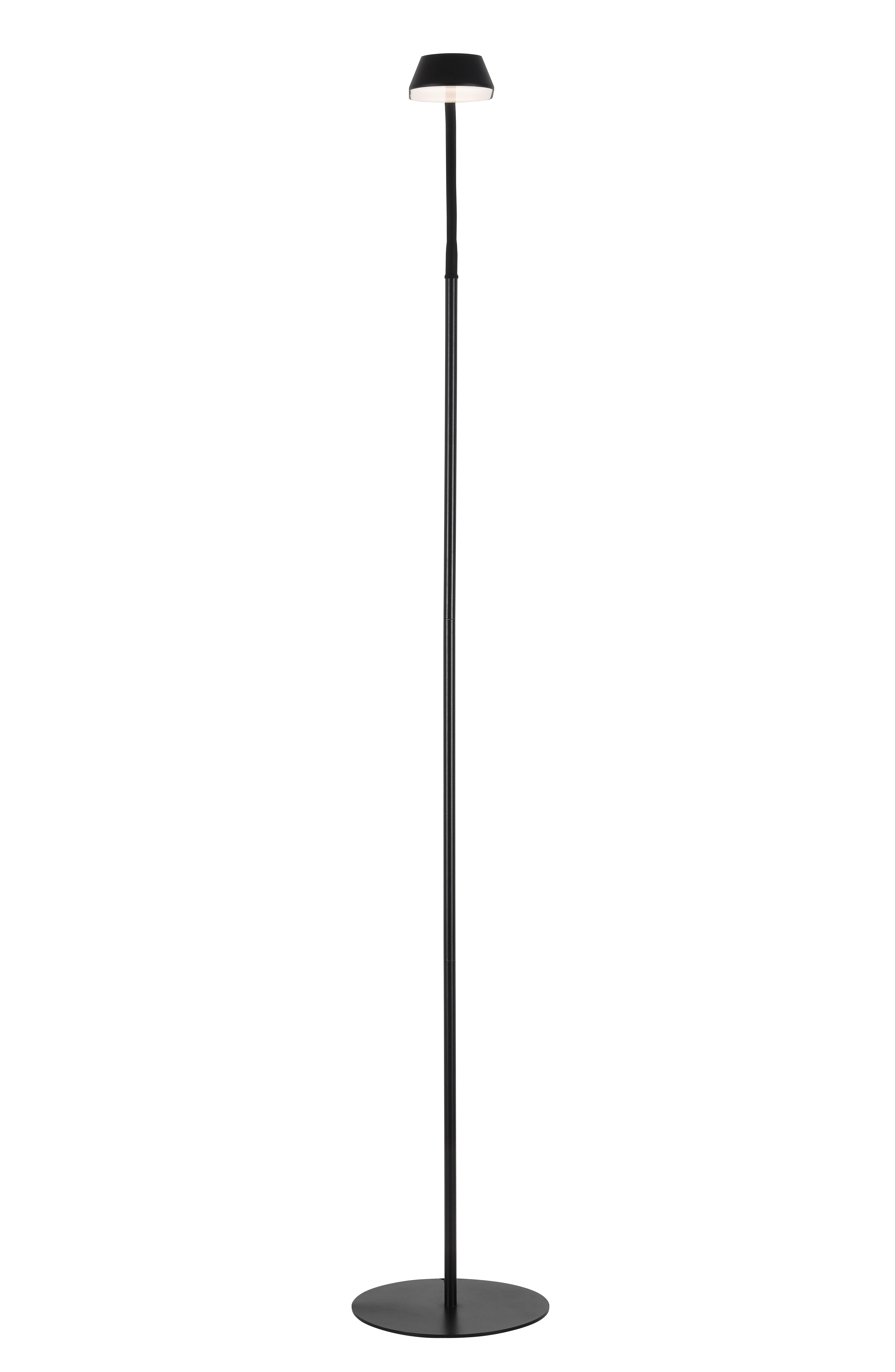 Stojacia Led Lampa Topo, P/v: 23/152cm - čierna, Moderný, kov/plast (23/152cm) - Modern Living