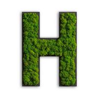 Moosbild Grün B: 25 Cm - Schwarz/Grün, Basics, Naturmaterialien/Holz (25/19/4cm)