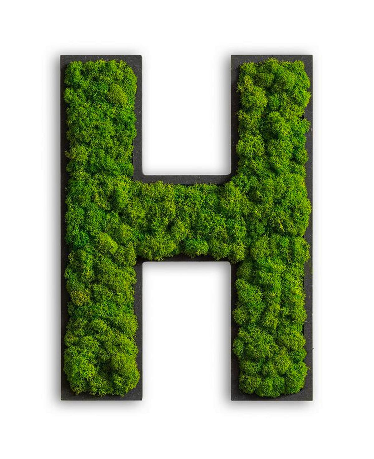 Moosbild Grün B: 25 Cm - Schwarz/Grün, Basics, Naturmaterialien/Holz (25/19/4cm)