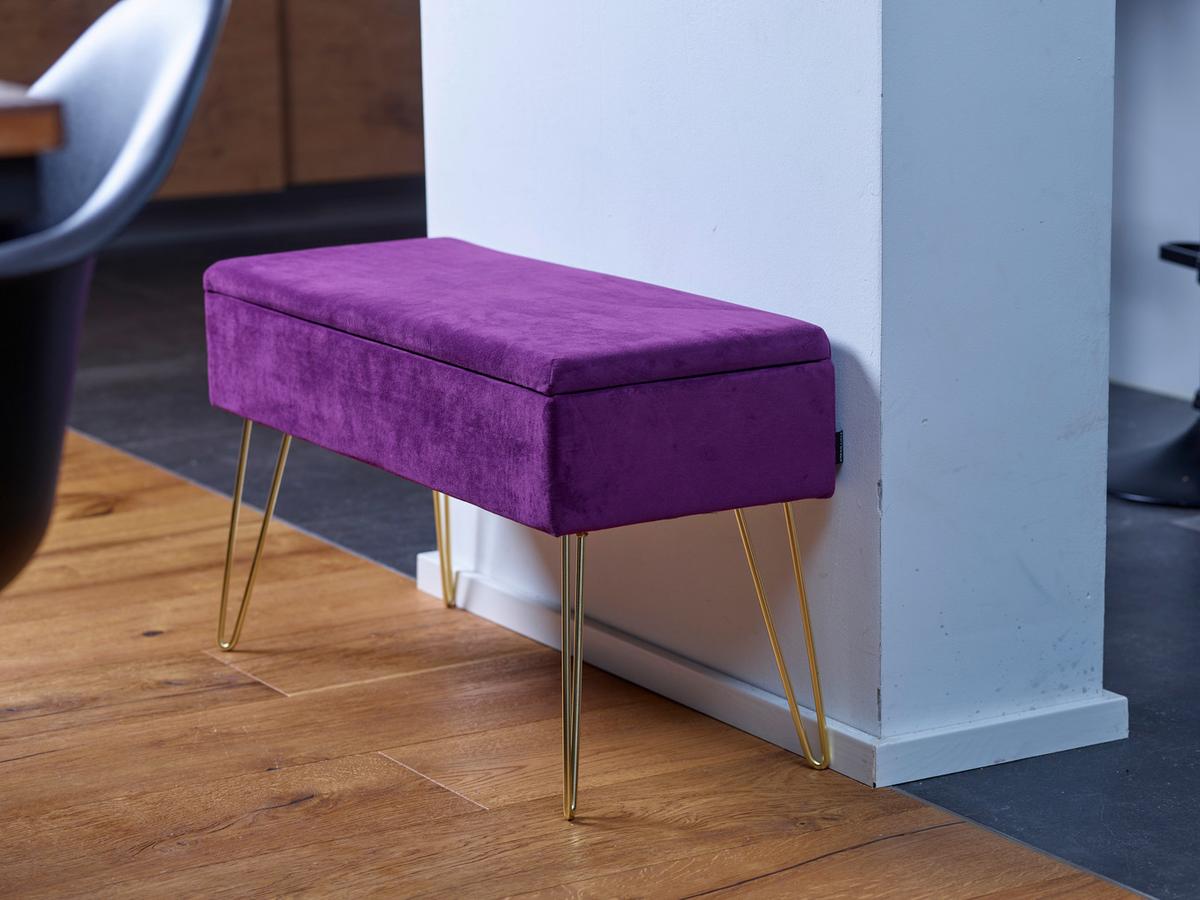 Hockerbank Scarlett Vlies Beere H: 42 cm inkl. Stauraum - Beere/Goldfarben, Design, Textil (75/42/30cm) - Echtwerk