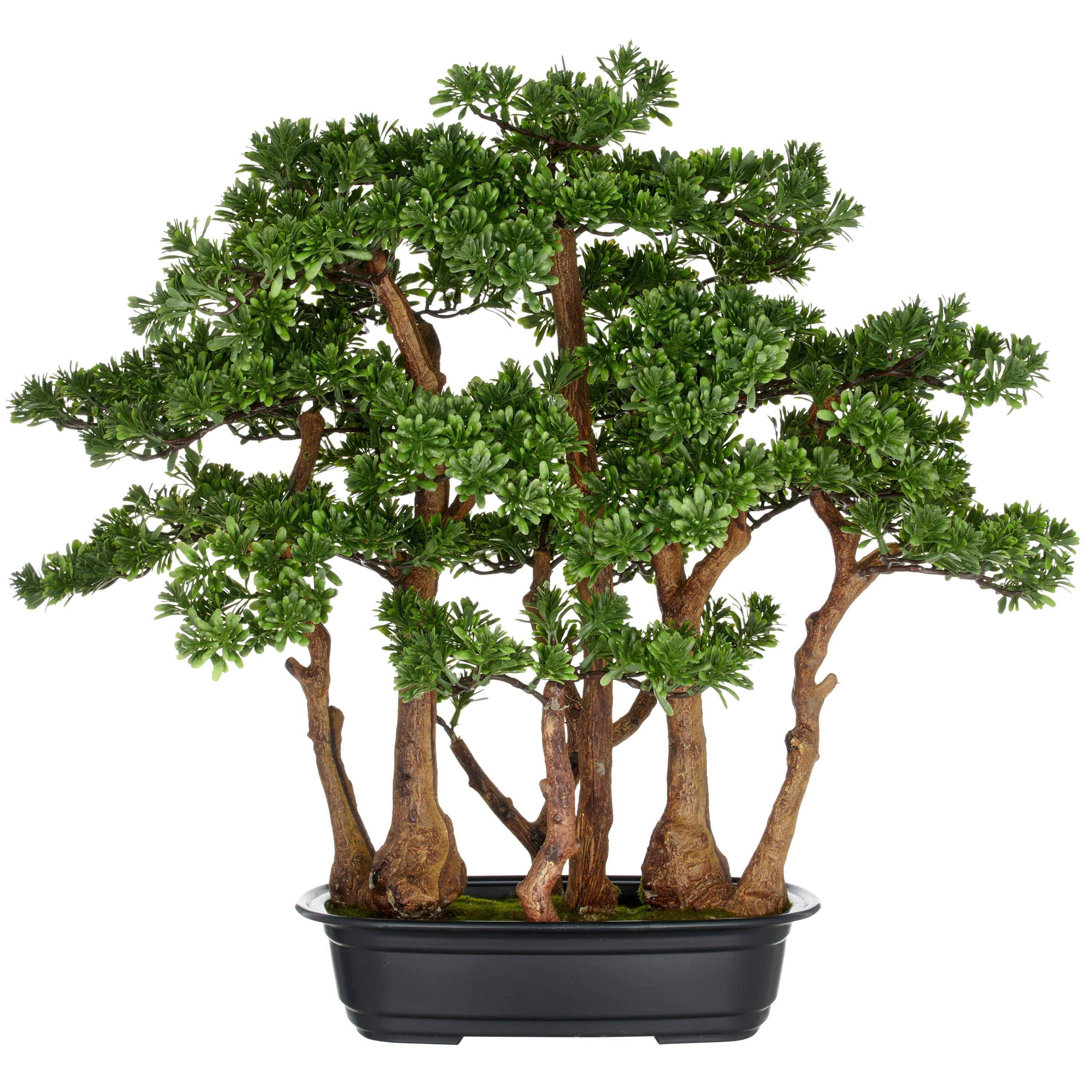 Kunstpflanze Bonsai Teeblatt Kunststoff, Grün, H: 60 cm - Schwarz/Braun, Basics, Kunststoff (60cm) - P & B