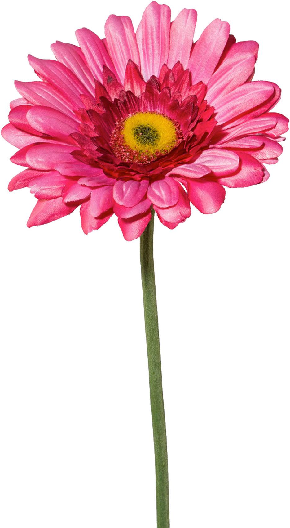 Kunstblume Gerbera Rosa L: Ca. 63cm, Amra - Rosa/Grün, Natur, Kunststoff (63cm)