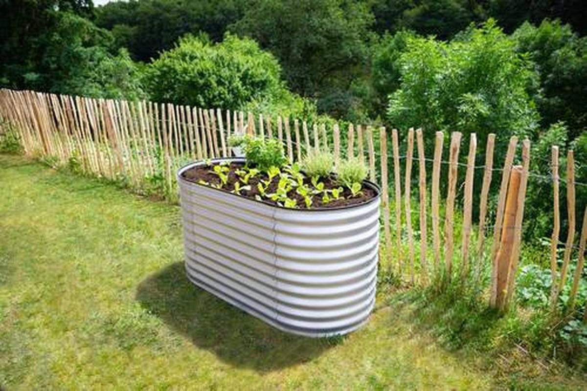 HOCHBEET METALL HOCHBEET OVAL 160 CM - Silberfarben, Basics, Metall (160/82/80cm)