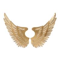 Wanddeko Ali Light Goldfarben B: 43,5 Cm - Goldfarben, Basics, Metall (43.5/90/3.5cm)