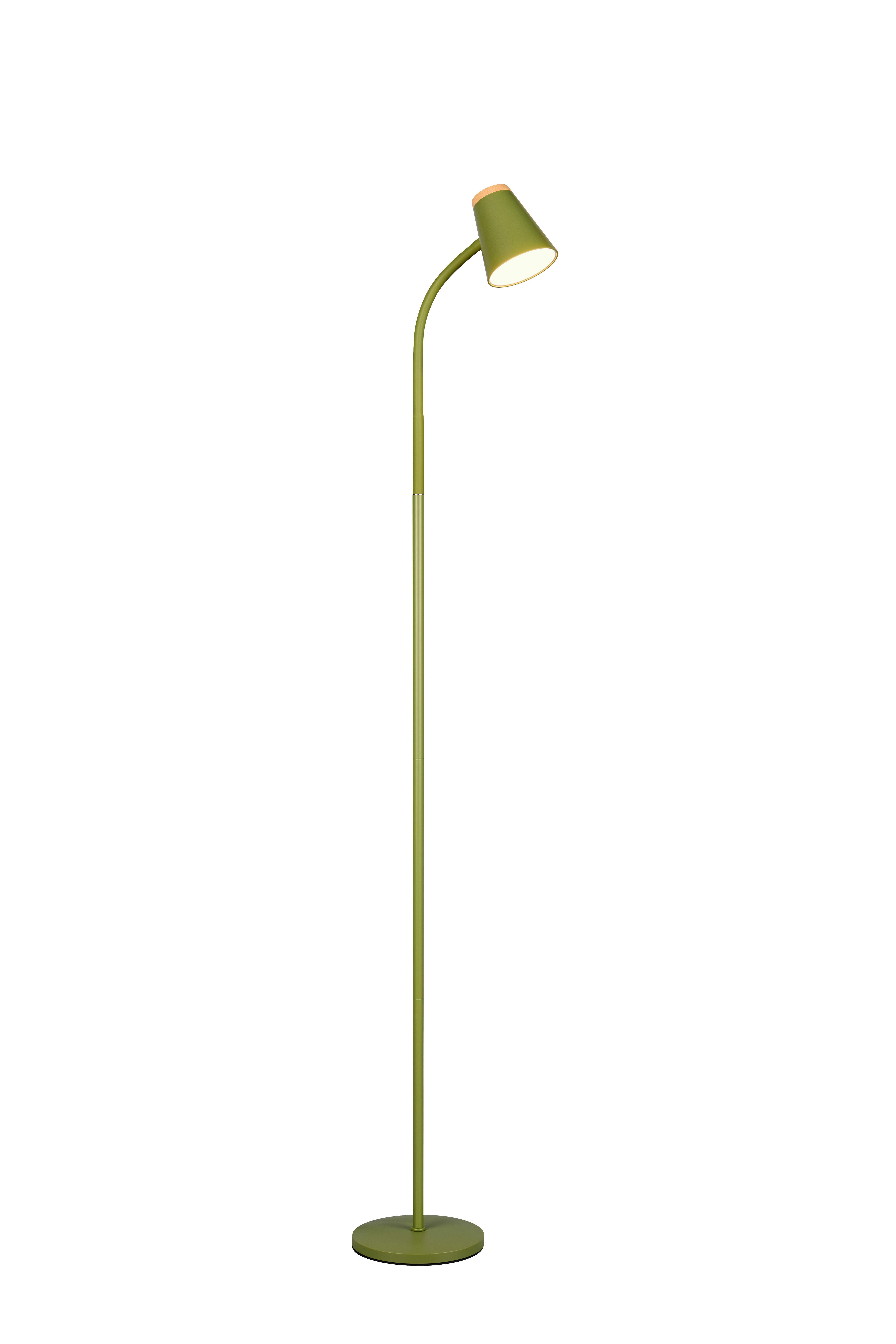 LED-Stehleuchte Pongo Braun Grün B: 19,5 cm - Braun/Grün, Basics, Kunststoff/Metall (145/19.5/37cm)