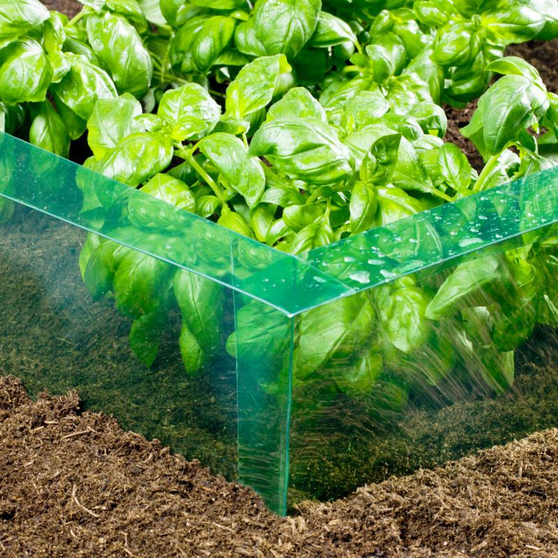 Schneckenbarriere Pet Grün/Transparent L: 14 M