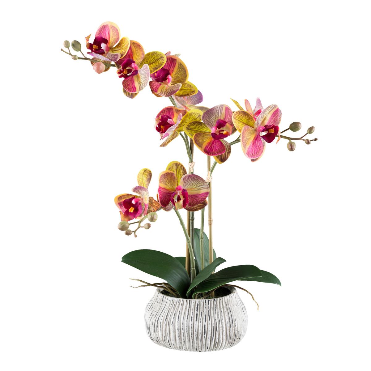 Kunstpflanze Orchideen Gelb/Grau/Grün/Pink, 48 cm - Pink/Gelb, Design, Kunststoff/Stein (48cm) - P & B