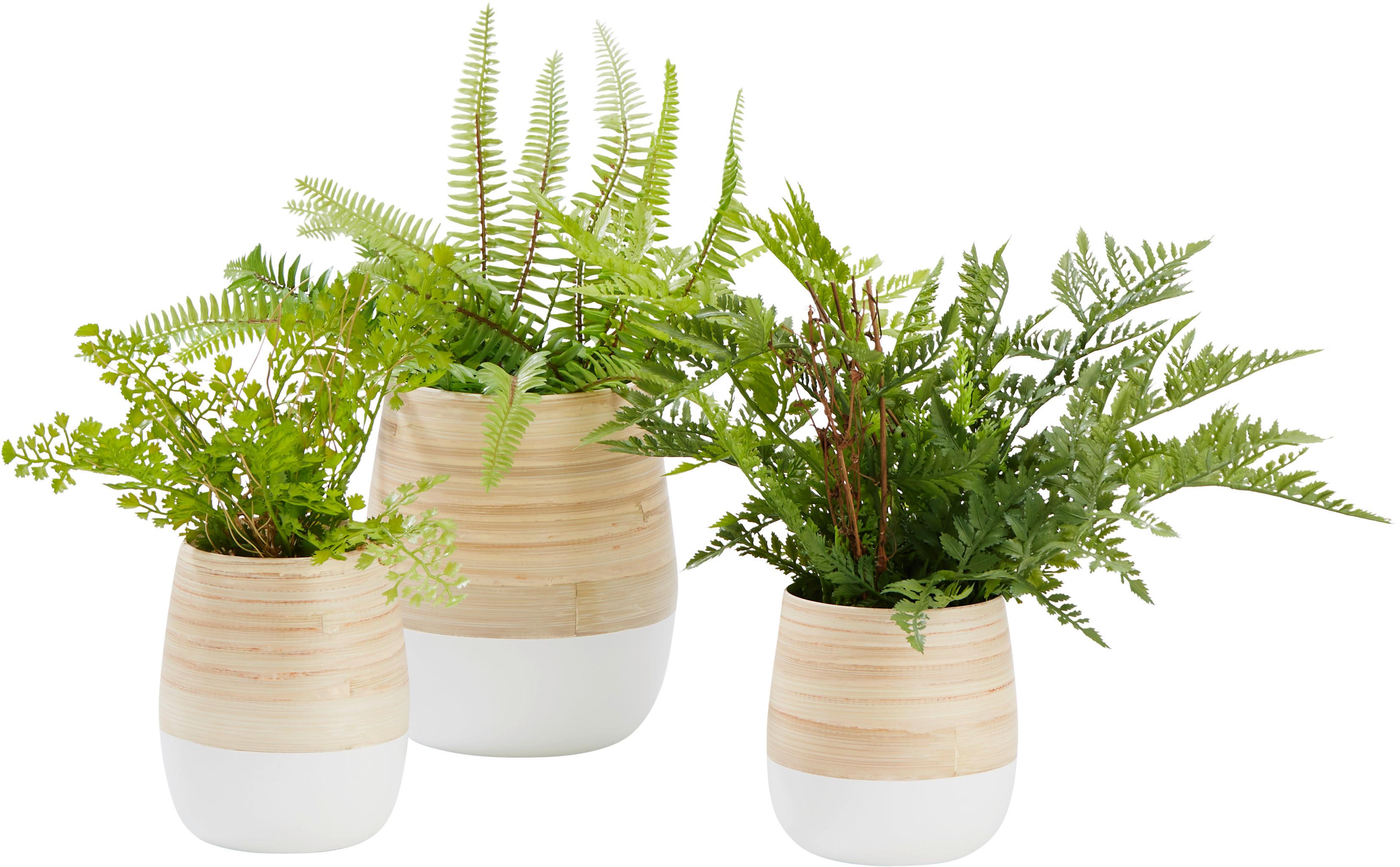 Obal Na Květináč Naturelle, Ø/v: 12/13cm - bílá/přírodní barvy, Konvenční, přírodní materiály (12/13cm) - Zandiara