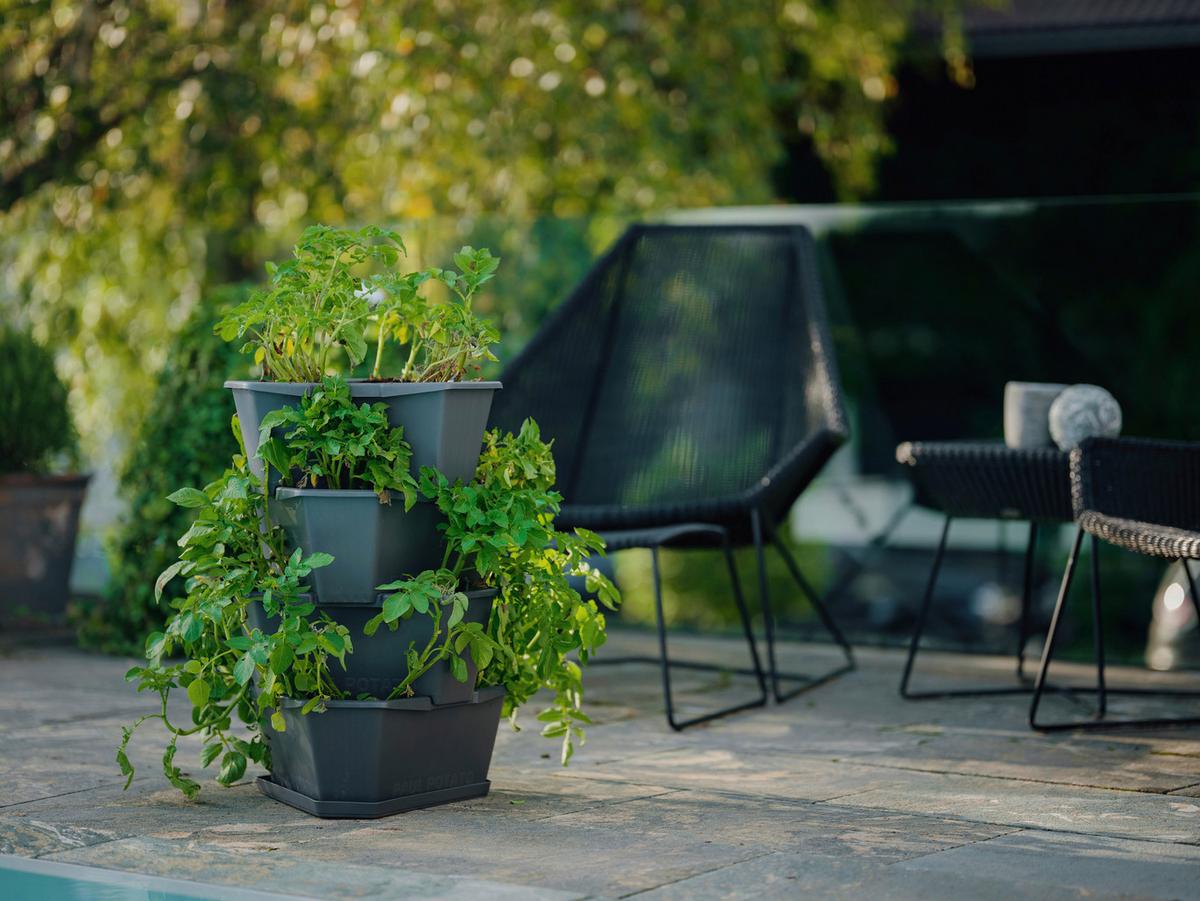 Übertopf Paul Kunststoff Outdoor B/H/T: 44x65x44 cm - Anthrazit, Basics, Kunststoff (44/65/44cm) - Gusta Garden