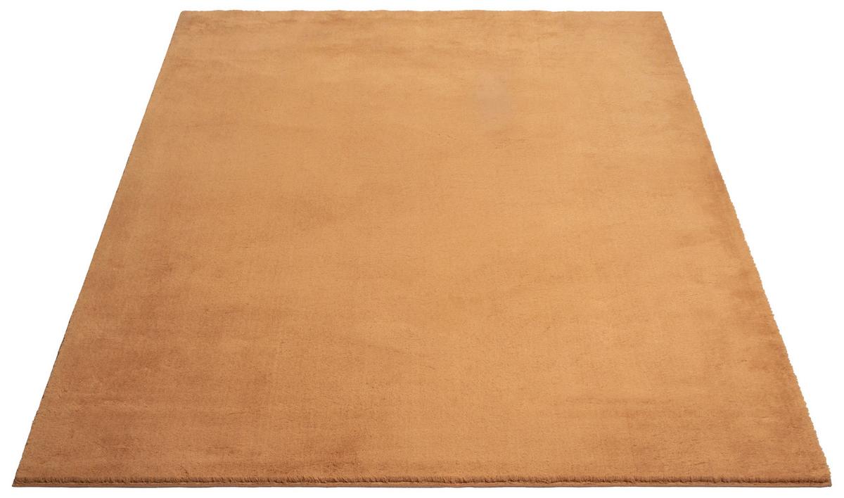 Fellteppich Loft - Terracotta, KONVENTIONELL, Textil (60/110cm)