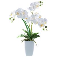 Kunstpflanze Phalaenopsis - Weiß/Grün, Basics, Keramik/Kunststoff (67cm)