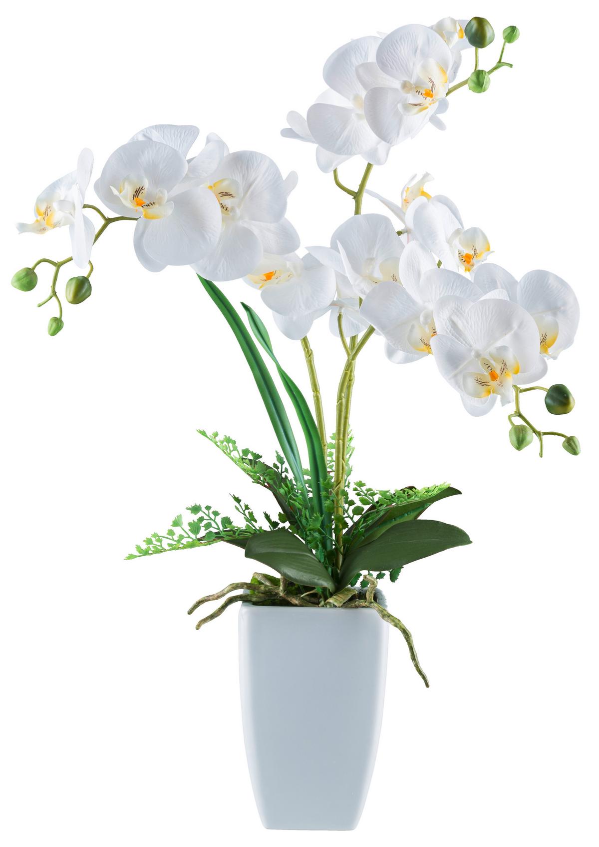 Kunstpflanze Phalaenopsis - Weiß/Grün, Basics, Keramik/Kunststoff (67cm)