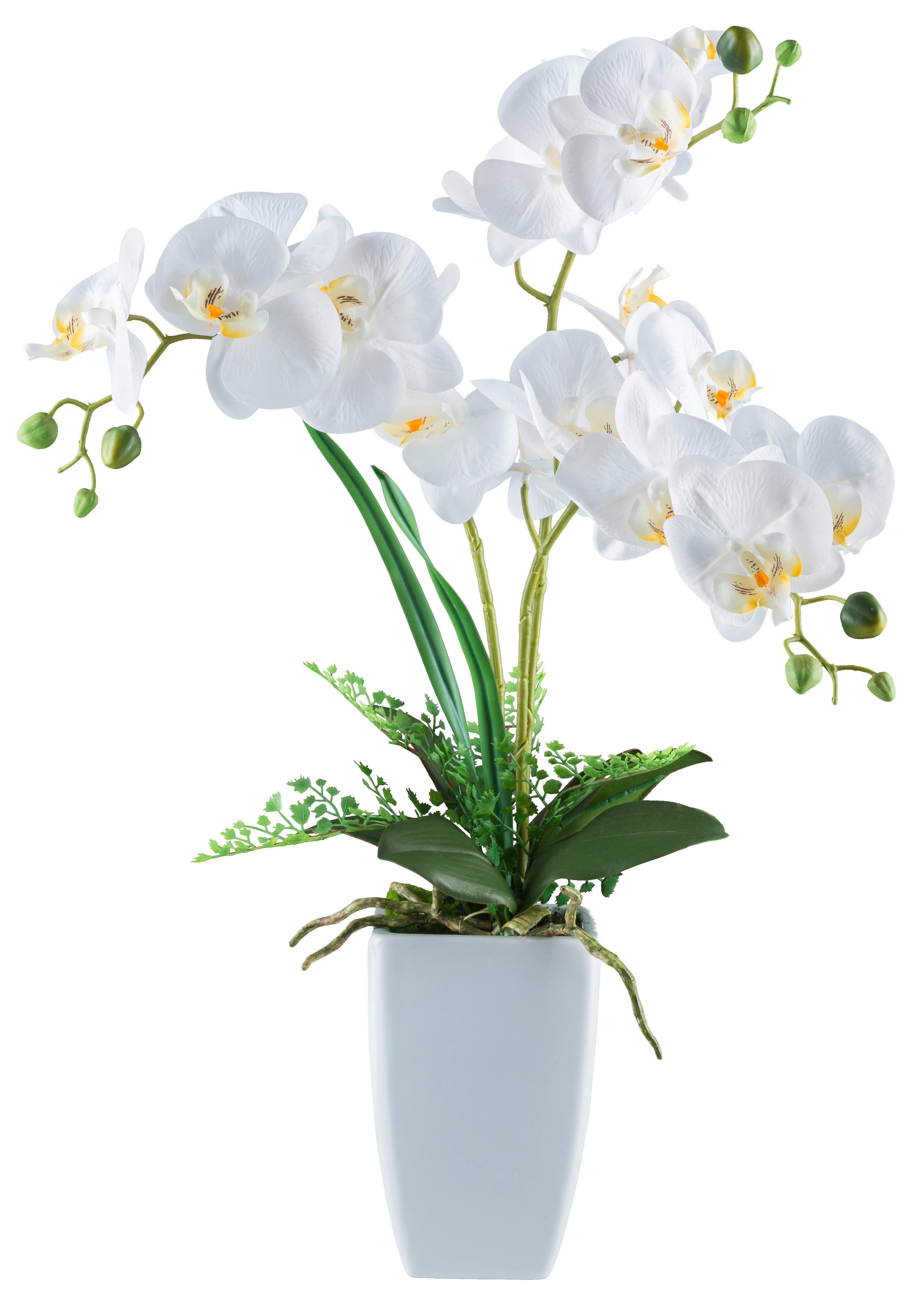Kunstpflanze Phalaenopsis