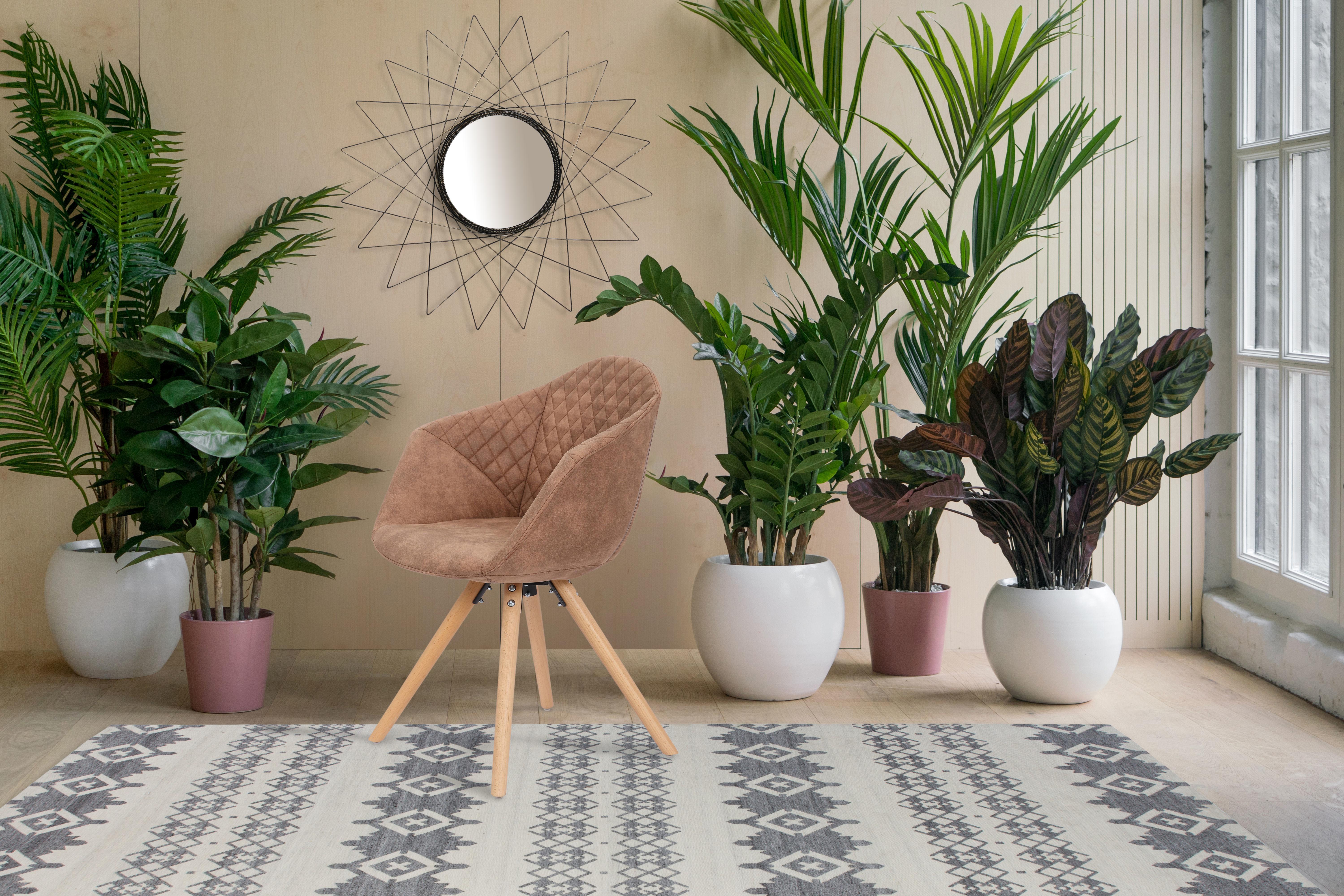 Esszimmerstuhl Chadwick Braun Gepolstert 2er-Set