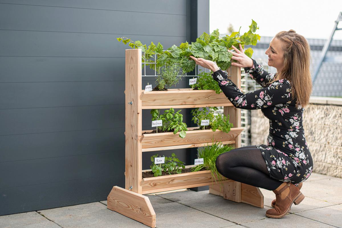 GARTENREGAL KRÄUTERREGAL L - Lärchefarben, Basics, Holz (80/95/50cm)