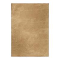 Hochflorteppich Beige, Bxl Ca. 200x200 Cm - Beige, KONVENTIONELL, Textil (200/200cm) - Esprit