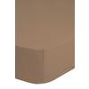 Spannleintuch Sandfarben 200x220 Cm Jersey - Sandfarben, Basics, Textil (200/220cm) - MID.YOU