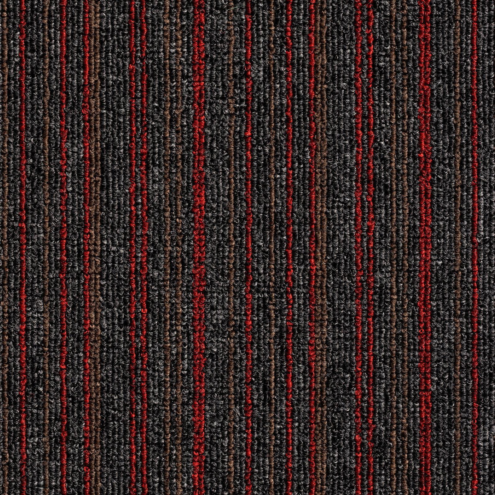 Teppichfliese Grau/rot Astra 50x50 Cm Florhöhe 3 Mm - Rot/Grau, Basics, Textil (50/50cm)
