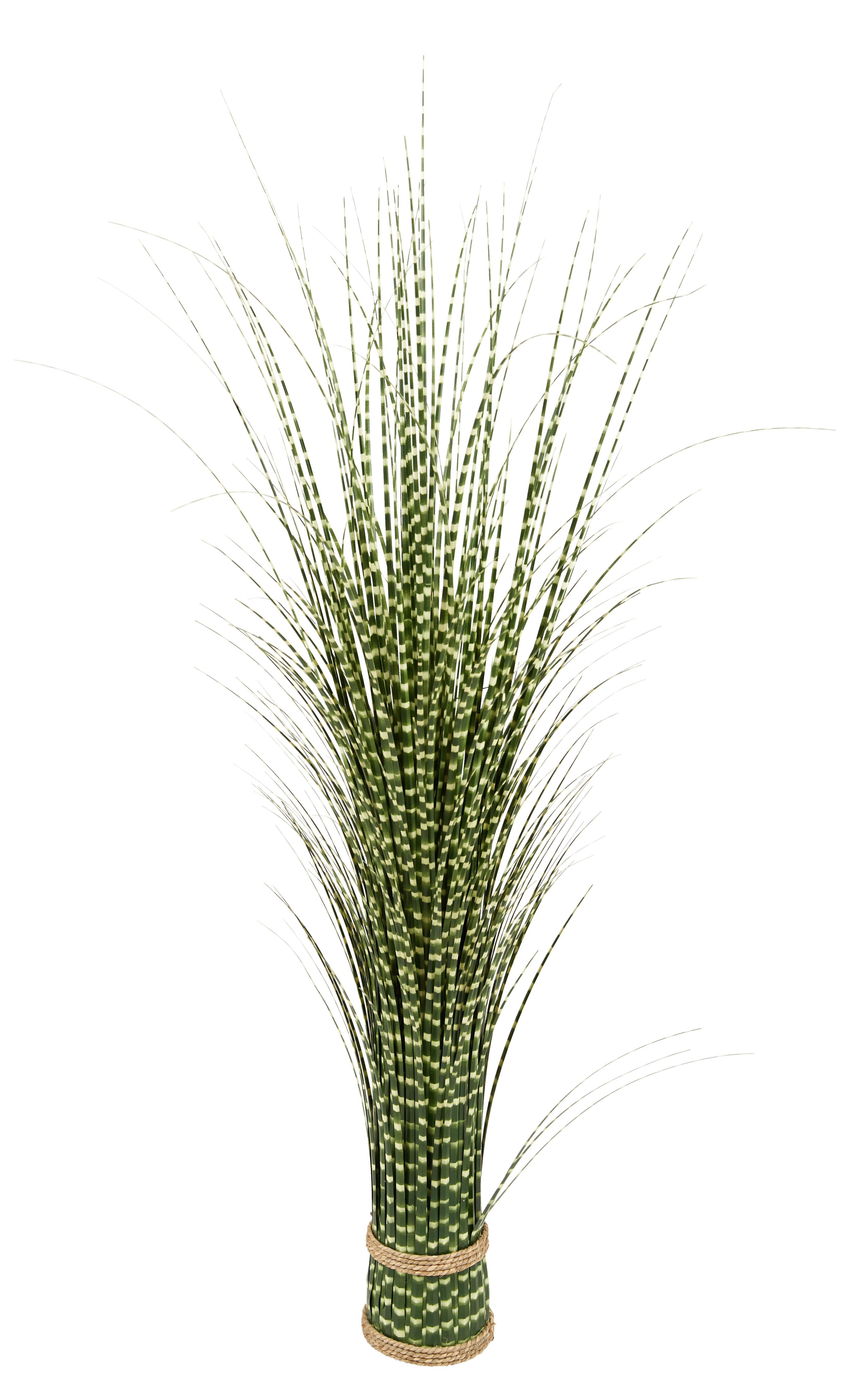Kunstpflanze Zebragras Creme L: 100 cm - Creme/Grün, Basics, Naturmaterialien/Papier (25/100cm) - Ondega