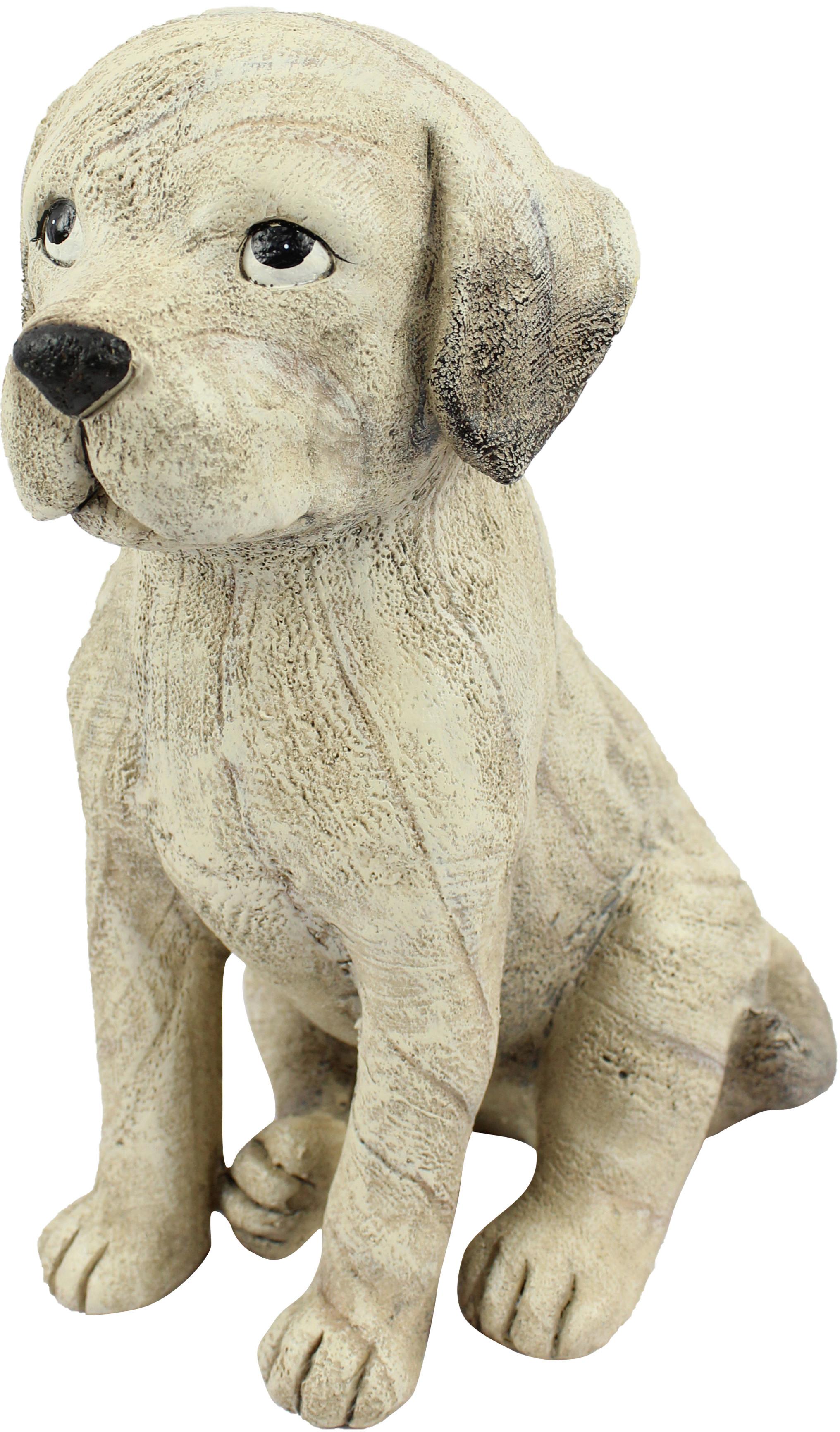 Dekohund Puma