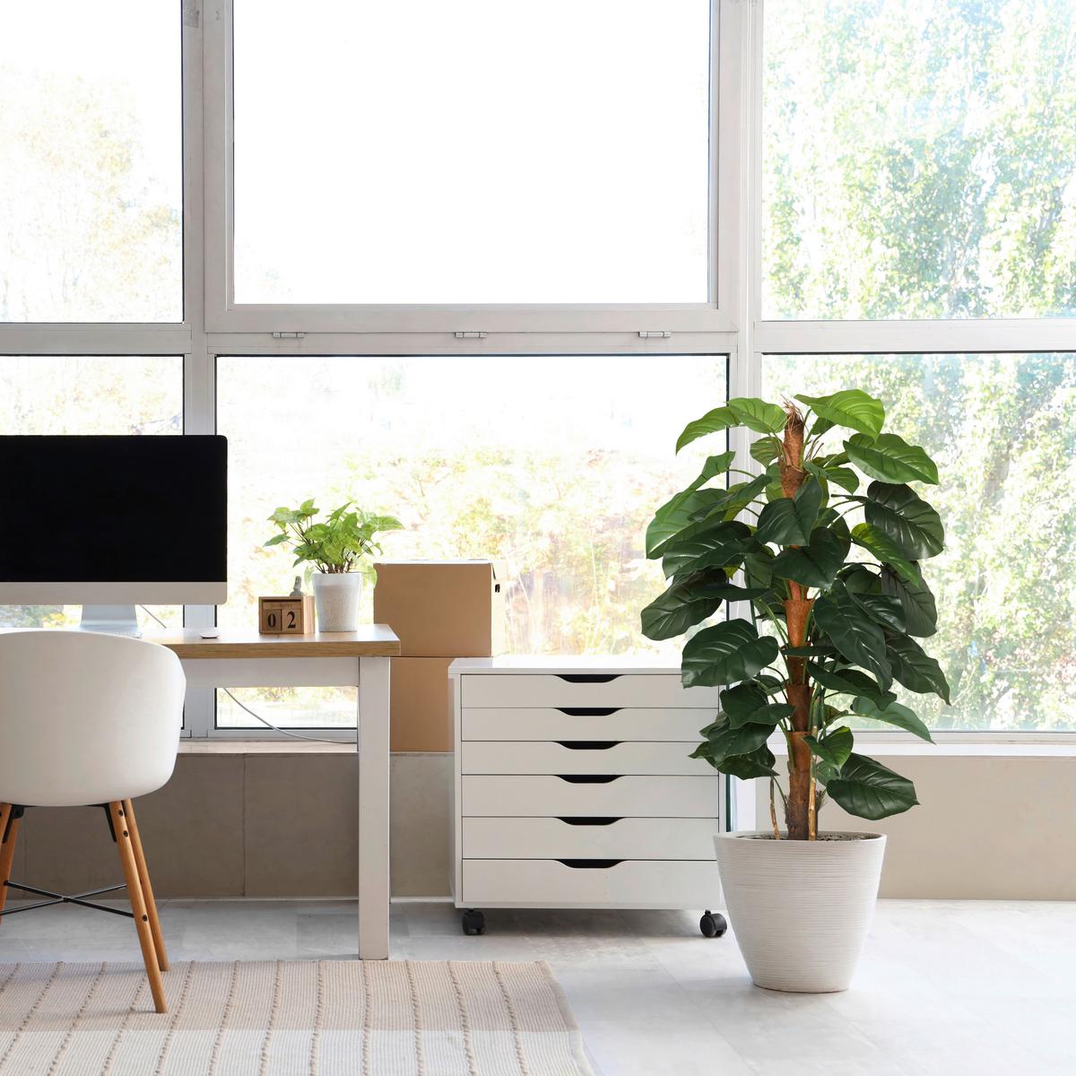 Kunstpflanze Braun/grün B: 67 Cm - Weiß/Braun, MODERN, Kunststoff (67/155/60cm) - MID.YOU