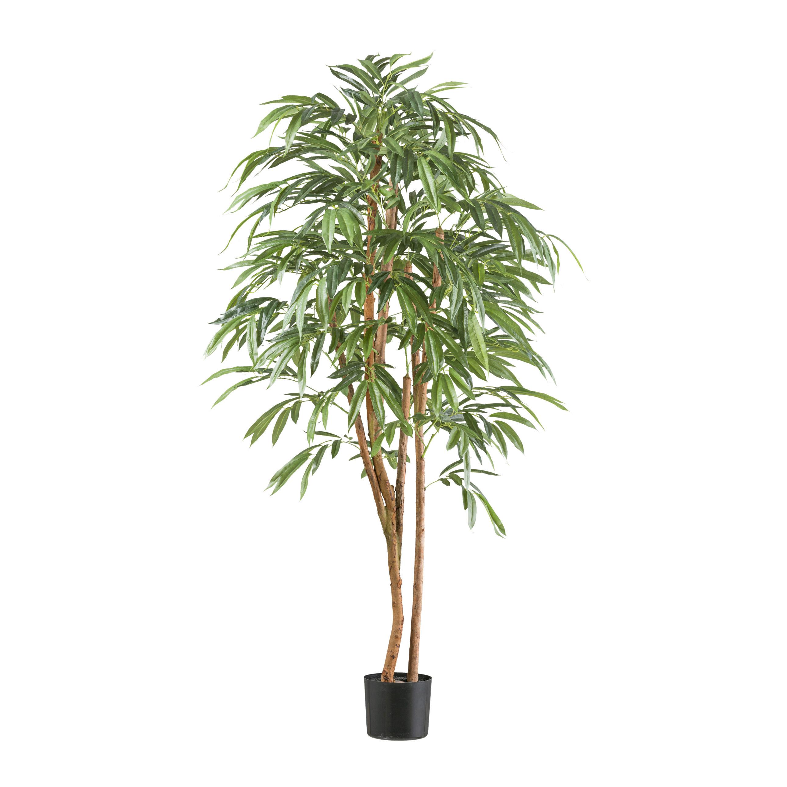 Kunstpflanze Ficus Benjamina mit Naturstamm H: 170 cm - Schwarz/Naturfarben, Design, Naturmaterialien/Kunststoff (170cm) - P & B