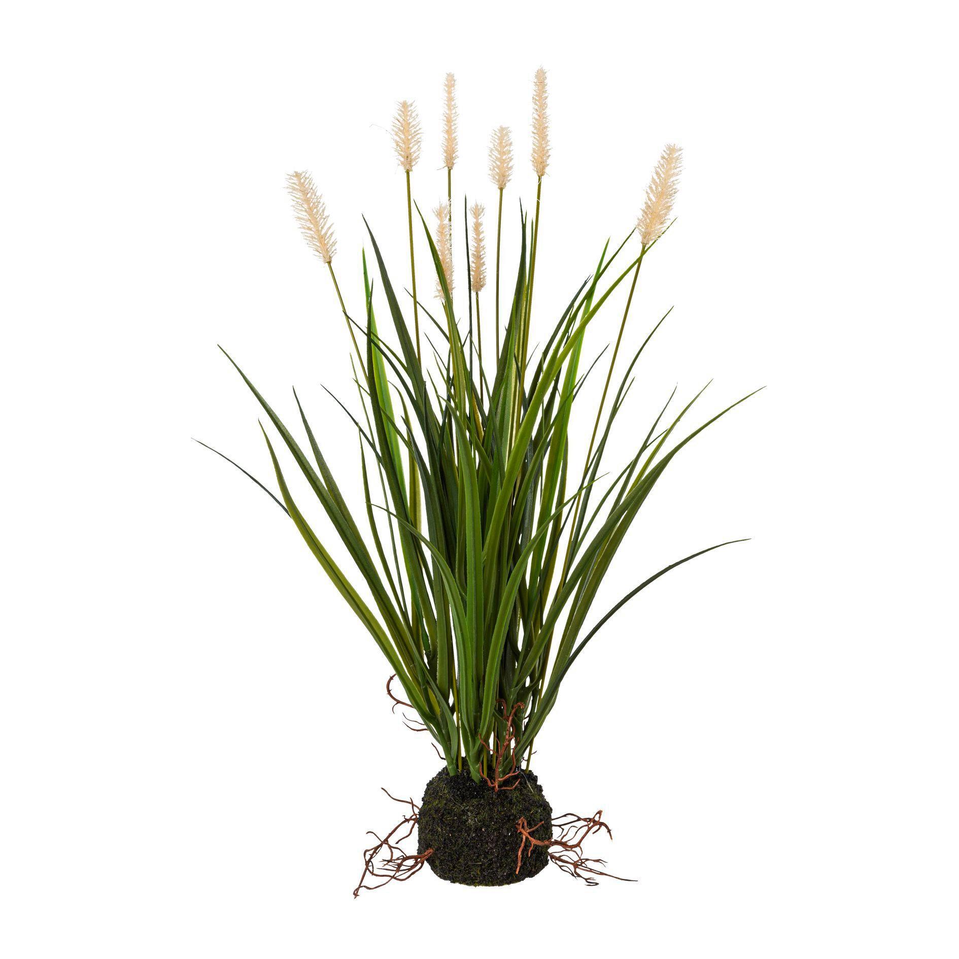 Kunstpflanze Grasbündel Creme L: 45 cm, Eska - Creme/Grün, Natur, Kunststoff (45cm)