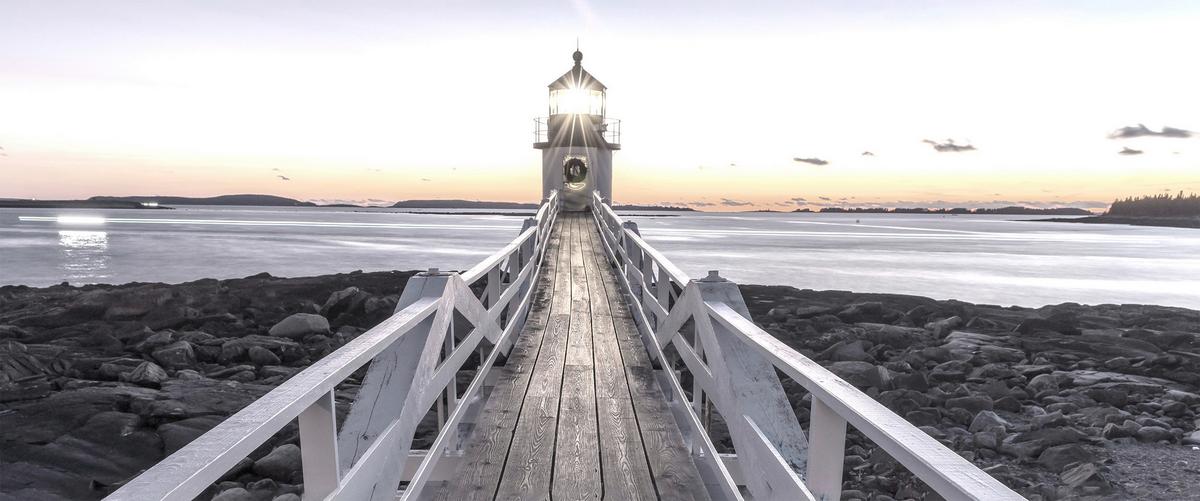 Leinwandbild Gustav - Multicolor/Weiß, KONVENTIONELL, Holz/Kunststoff (120/50cm) - James Wood