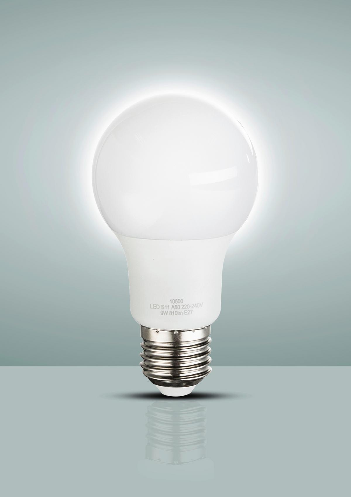 LED-Leuchtmittel warmweiß 9 Watt kaufen