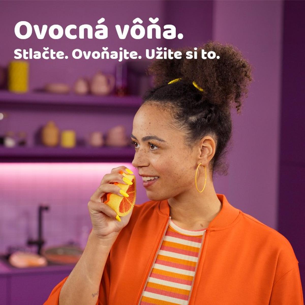Špongia ORANGE PUNCH VILEDA PUNCH ORANGE HUBKA - oranžová, Basics, plast (10,2/3,2/15cm) - Vileda
