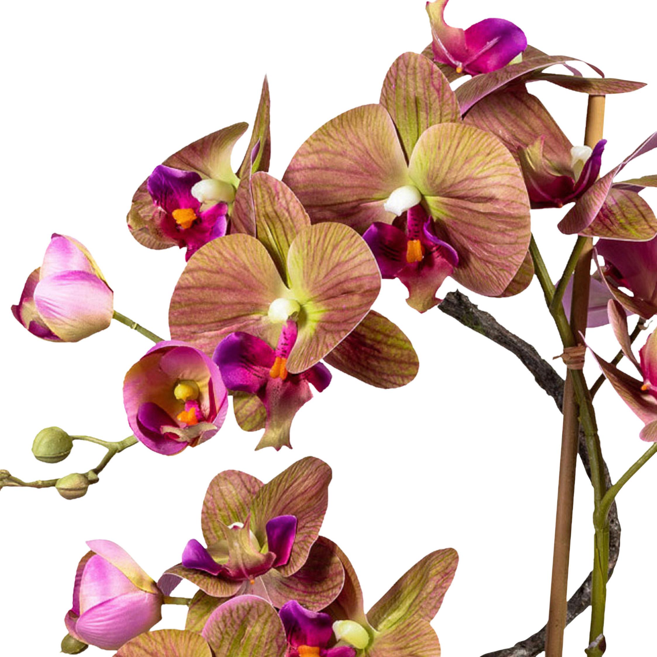 Kunstpflanze Orchideen, Grün- Lila, Topf: Braun, H: 70 cm - Lila/Braun, Design, Keramik/Kunststoff (70cm) - P & B