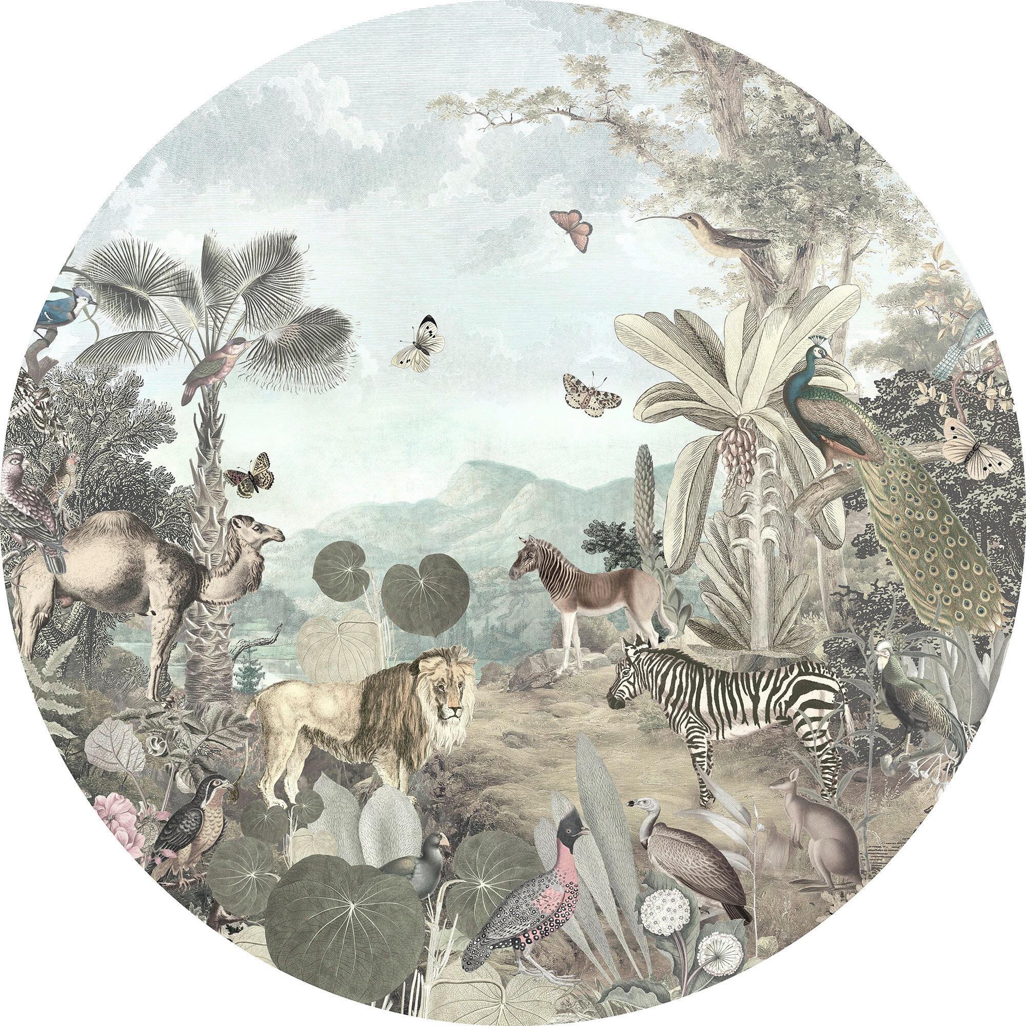 Fototapete Utopia - Braun/Weiß, Trend, Papier (125cm) - Komar