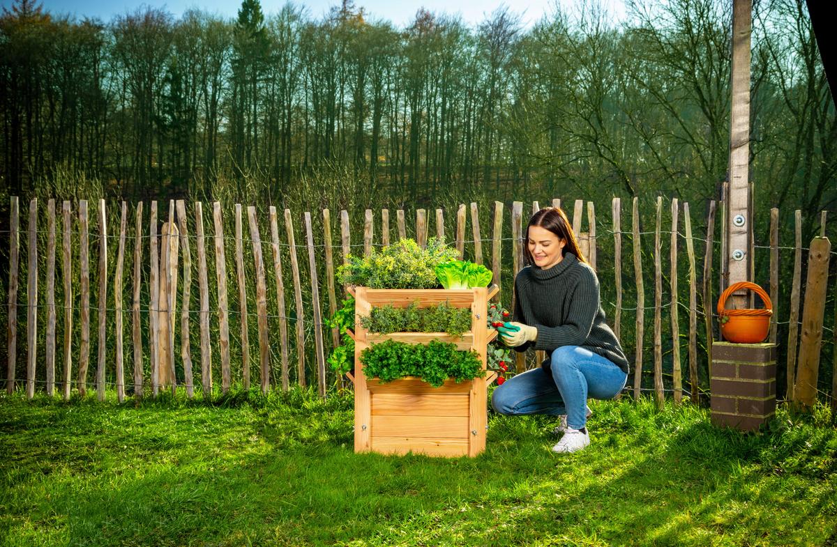 Hochbeet Echtholz Lärche 65x73x65 cm - Lärchefarben, Basics, Holz (65/73/65cm)